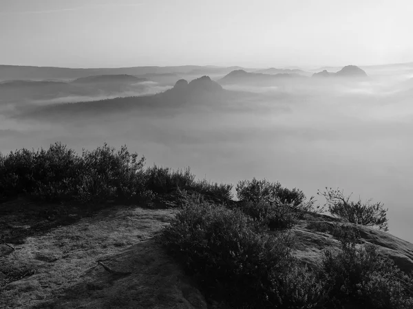 View into deep misty valley in Saxon Switzerland. Sandstone peaks increased from foggy background. Black and white picture. — Stock Photo, Image