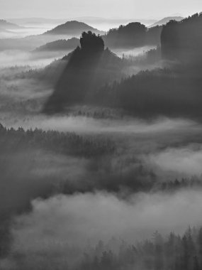saxon'ın derin puslu vadide görünüme İsviçre. kumtaşı doruklarına sisli arka plandan arttı. siyah beyaz resim.