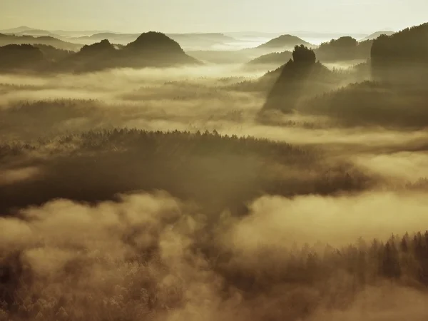 Nascer do sol em uma bela montanha de Checo-Saxônia Suíça. picos de arenito aumentado a partir de fundo nebuloso, o nevoeiro é laranja devido aos raios de sol . — Fotografia de Stock