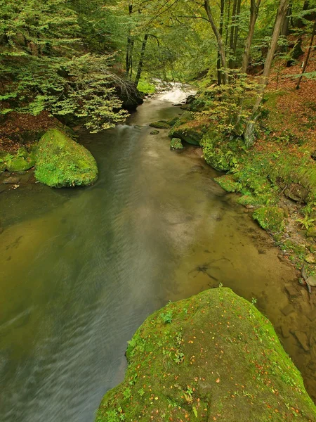 查看到山中的小溪中砂岩西部片和绿枝金合欢、 山毛榉和橡树的下面。水位使绿色思考。在山区河流夏天的结束. — 图库照片