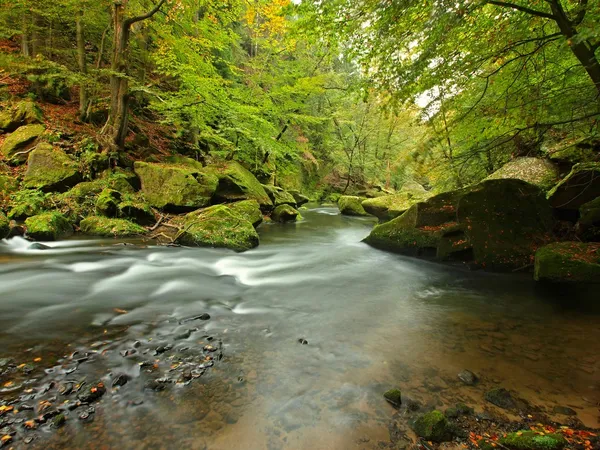 Vista sul torrente di montagna in un golfo di arenaria e sotto rami verdi di acacie, faggi e querce. Il livello dell'acqua fa riflessi verdi. La fine dell'estate al fiume di montagna . — Foto Stock