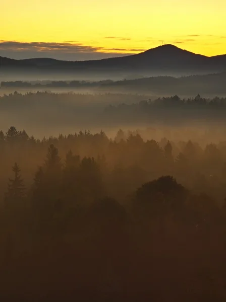 Vista in autunno profonda valle nebbiosa nel parco nazionale della Boemia, Europa. Alberi e colline aumentati da sfondo nebbioso. Cielo colorato sopra l'orizzonte . — Foto Stock