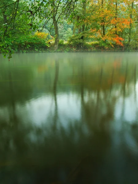Vista para o rio abaixo ramos alaranjados de faias. Nível de água faz reflexões verdes . — Fotografia de Stock