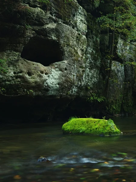 Gran roca arenisca musgosa en el río claro de montaña, helecho verde fresco sobre el agua. Reflejos en el nivel del agua, primeras hojas de haya de colores yacen en el suelo musgoso . — Foto de Stock