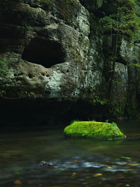 Großer bemooster Sandsteinblock im klaren Gebirgsfluss, frischer grüner Farn über dem Wasser. Spiegelungen im Wasserspiegel, erste bunte Buchenblätter liegen auf bemoostem Boden. — Stockfoto