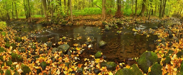 Rivière de montagne à faible niveau d'eau, gravier avec hêtre coloré, tremble et feuilles d'érable. Pierres mousseuses vertes fraîches et rochers sur la rive après le jour de pluie . — Photo