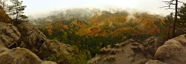 Início da noite de chuva em rochas da Suíça boêmia. picos de árvores coloridas aumentou a partir de fundo nebuloso, o nevoeiro é laranja devido ao sol e alta umidade . — Fotografia de Stock