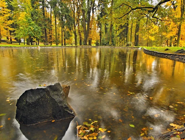 View over water level of pond in park. Colorful leaves in water, reflection of colorful trees. — Stock Photo, Image