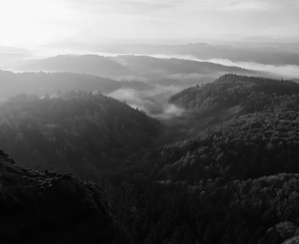 bohem-saxony İsviçre'nin güzel bir dağ Sunrise. kumtaşı zirveleri ve tepeler sisli arka plandan arttı. ilk güneş ışınları. siyah beyaz fotoğraf.