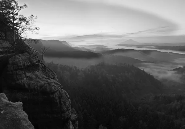 Sunrise in a beautiful mountain of Bohemian-Saxony Switzerland. Sandstone peaks and hills increased from foggy background. First sun rays. Black and White photo. — Stock Photo, Image