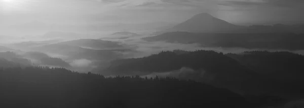Sunrise in a beautiful mountain of Bohemian-Saxony Switzerland. Sandstone peaks and hills increased from foggy background. First sun rays. Black and White photo. — Stock Photo, Image
