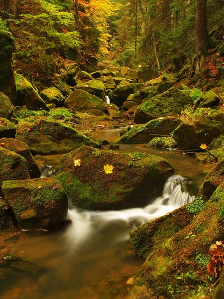 Vista nella valle profonda del fiume di montagna con basso livello di acqua, ghiaia con faggio colorato, pioppo tremulo e foglie d'acero. Pietre muschiose verdi fresche e massi sulla riva del fiume dopo la giornata di pioggia . — Foto Stock