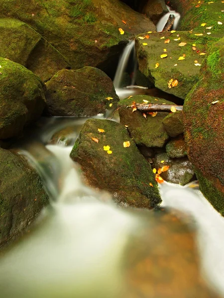 Cascada en un pequeño arroyo de montaña, el agua está corriendo sobre rocas de arenisca musgosas y burbujas crean en el nivel de agua lechosa. Hojas coloridas de arce o álamo en piedras y en agua . —  Fotos de Stock