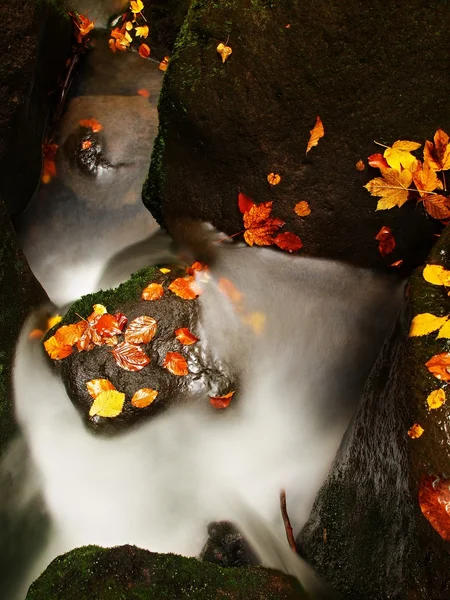 Cascade on small mountain stream, water is running over mossy sandstone boulders and bubbles create on level milky water. Colorful leaves from maple or aspen tree on stones ans into water. — Stock Photo, Image
