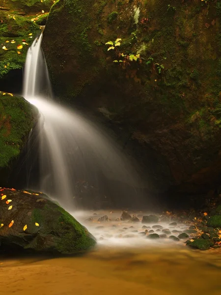 Kleiner Wasserfall voller Wasser nach Regen. Bunte Blätter von Ahorn, Wildkirsche und Birke liegen auf nassen Sandsteinfelsen. Moosige Steine und bunte Herbstblätter — Stockfoto