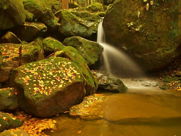 Small waterfall full of water after rain. Colorful leaves from maple tree, wild cherry and birch laying on wet sandstone boulders. Mossy stones and colorful autumn leaves — Stock Photo, Image