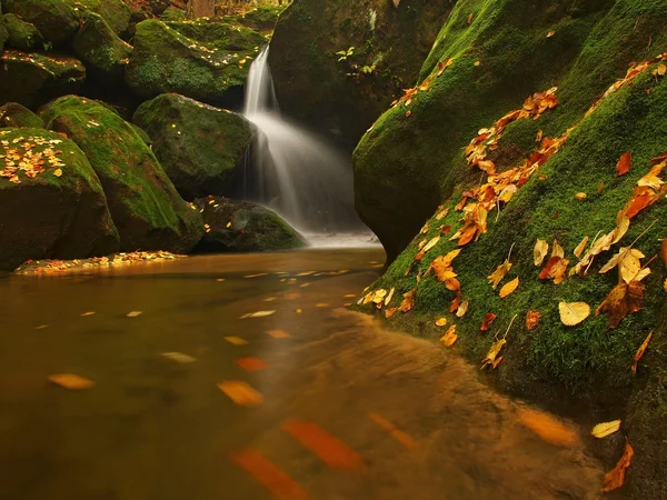 Cascade on small mountain stream, water is running over mossy sandstone boulders and bubbles create on level milky water. Colorful leaves from maple or aspen tree on stones and into water. — Stock Photo, Image