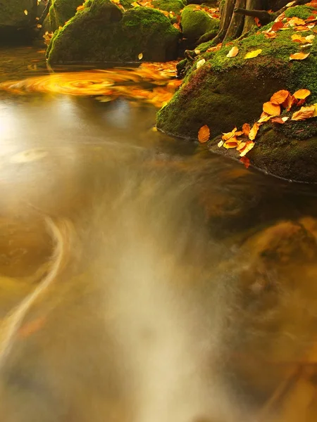 El nivel del agua de un pequeño arroyo de montaña con hojas borrosas y coloridas, el agua corre entre rocas musgosas de arenisca y burbujas crean senderos a nivel. Hojas coloridas en las piedras y en el agua . —  Fotos de Stock