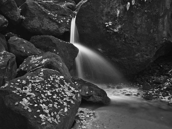 Cascade sur un petit ruisseau de montagne, l'eau coule sur des blocs de grès mousseux et des bulles créent sur le niveau de l'eau laiteuse. Feuilles tombées sur les pierres et dans l'eau. Photo en noir et blanc . — Photo