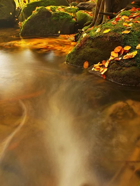 Hladina vody malé horské bystřiny s rozmazané barevné listí, voda je spuštěna mezi mechem pískovcovými balvany a bubliny vytvořit trasy na úrovni. barevné listí na kameny a do vody. — Stock fotografie