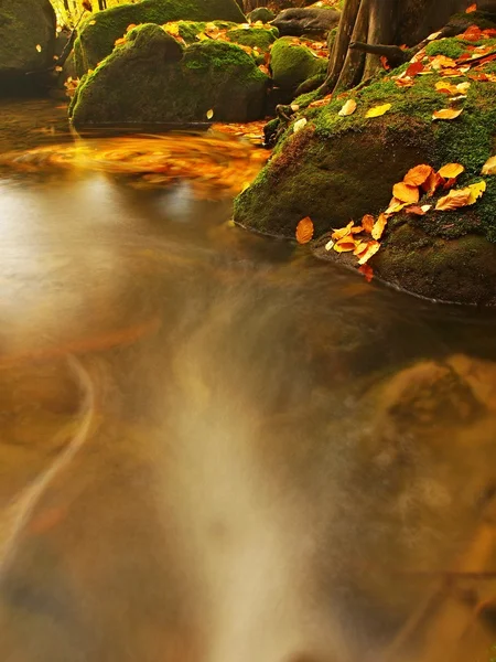 Nível de água de pequeno riacho de montanha com folhas coloridas borradas, a água está correndo entre pedras de arenito musgoso e bolhas criar trilhas no nível. Folhas coloridas em pedras e na água . — Fotografia de Stock