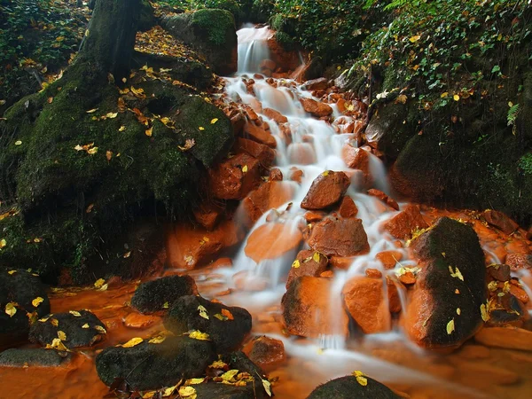 Cascade on stream of mineral water with iron sediment on green mossy boulders. Early morning in shadows below old trees. — Stock Photo, Image