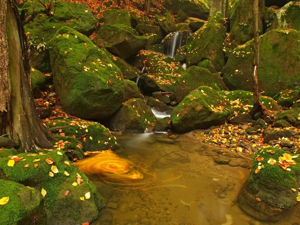 Cascade on small mountain stream, water is running over mossy sandstone boulders and bubbles create on level milky water. Colorful leaves from maple or aspen tree on stones and into water. — Stock Photo, Image