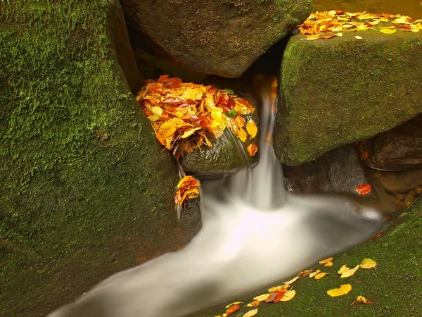 Cascada en un pequeño arroyo de montaña, el agua está corriendo sobre rocas de arenisca musgosas y burbujas crean en el nivel de agua lechosa. Hojas coloridas de arce o álamo sobre piedras y en el agua . —  Fotos de Stock