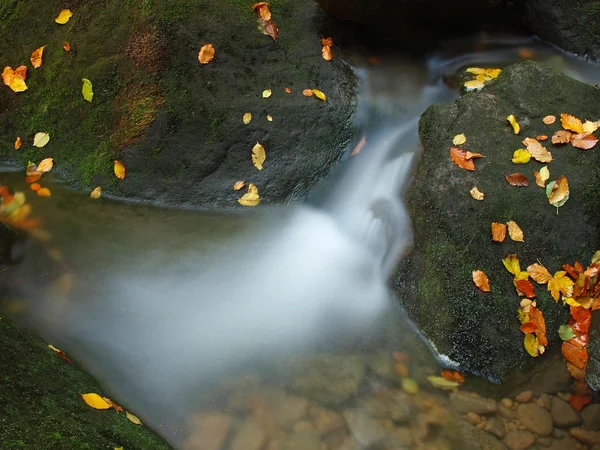 Cascada en un pequeño arroyo de montaña, el agua está corriendo sobre rocas de arenisca musgosas y burbujas crean en el nivel de agua lechosa. Hojas coloridas de arce o álamo sobre piedras y en el agua . —  Fotos de Stock
