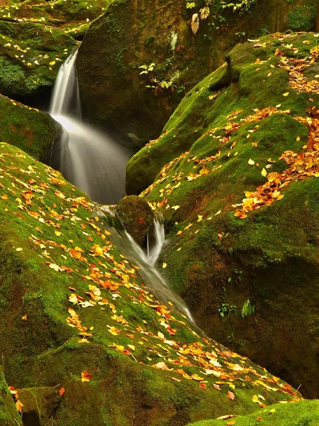 カスケード苔状の砂岩玉石の上実行している小さな渓流水とレベルの乳白色の湯で泡を作成します。カラフルな葉メープルまたはアスペン ツリーから石と水の中に. — ストック写真