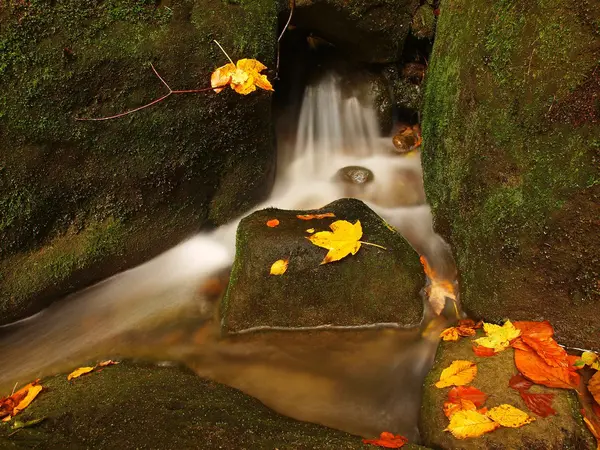 Cascade sur un petit ruisseau de montagne, l'eau coule sur des blocs de grès mousseux et des bulles créent sur le niveau de l'eau laiteuse. Feuilles colorées d'érable ou de tremble sur des pierres et dans l'eau . — Photo