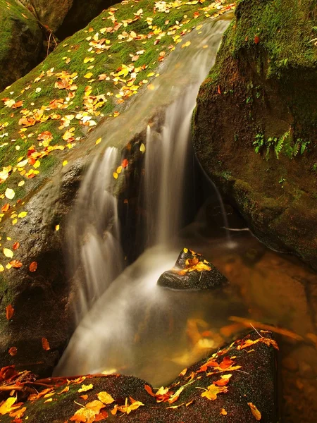 Cascada en un pequeño arroyo de montaña, el agua está corriendo sobre rocas de arenisca musgosas y burbujas crean en el nivel de agua lechosa. Hojas coloridas de arce o álamo sobre piedras y en el agua . —  Fotos de Stock