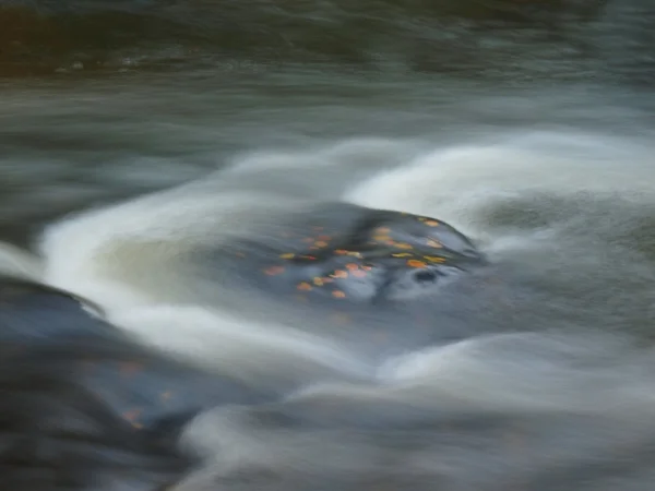 Folhas de faia laranja em pedra musgosa abaixo do nível de água aumentado. Movimento desfocado de ondas ao redor da pedra . — Fotografia de Stock