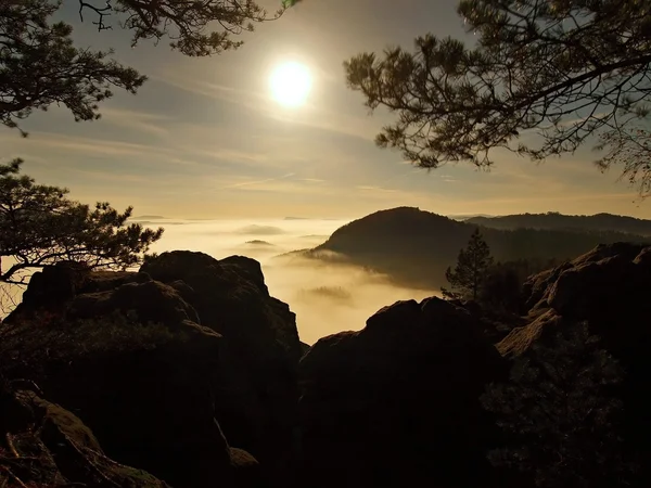 Notte di luna piena con alba in una bellissima montagna della Svizzera boemo-sassone. Picchi di arenaria e colline aumentate da sfondo nebbioso, la nebbia è arancione a causa dei raggi del sole . — Foto Stock