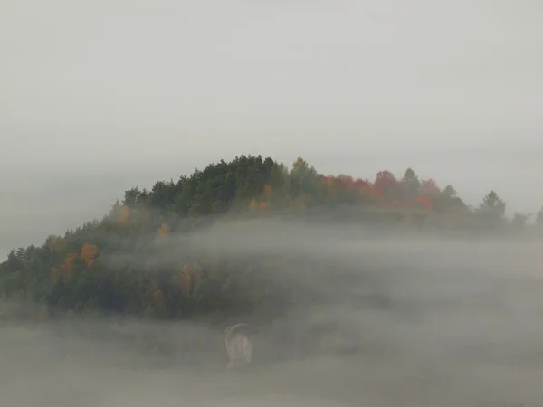 Noapte de lună plină cu răsărit de soare într-un frumos munte din Elveția Boemia-Saxonia. Varfuri de gresie si dealuri crescute din fundal ceata, ceata este portocalie din cauza razelor solare . — Fotografie, imagine de stoc