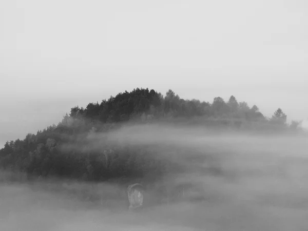 Vollmondnacht mit Sonnenaufgang in einem wunderschönen Berg der böhmisch-sächsischen Schweiz. Sandsteingipfel und Hügel wuchsen aus dem nebligen Hintergrund. Die ersten Sonnenstrahlen. Schwarz-Weiß-Foto. — Stockfoto