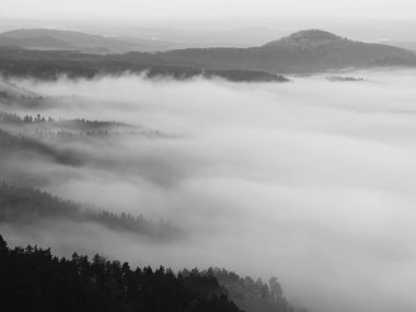 sisli vadinin içinde gündoğumu sabah erken sonbahar. sis tepeler ve ağaçların tepeleri arasında hareket yapar güneş ışınları yumuşak yansımalar. Harika bir sonbahar sabahı bohem İsviçre.
