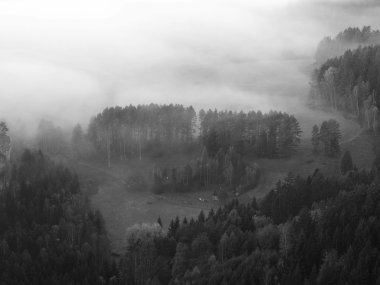 sisli vadinin içinde gündoğumu sabah erken sonbahar. sis tepeler ve ağaçların tepeleri arasında hareket yapar güneş ışınları yumuşak yansımalar. Harika bir sonbahar sabahı bohem İsviçre.