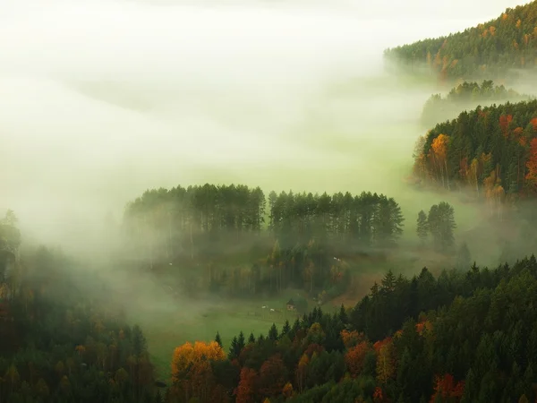 Vyhlídka na vrcholu pískovcové nad mlhavé údolí. východ slunce v krásné hoře České-Sasko Švýcarsko. — Stock fotografie