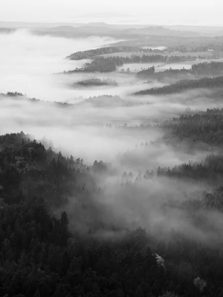 Falla misty valley tidigt på morgonen i soluppgången. dimman flyttar mellan kullar och toppar av träd en gör med solen strålar mild reflektioner. underbar höst morgon i böhmiska Schweiz. — Stockfoto