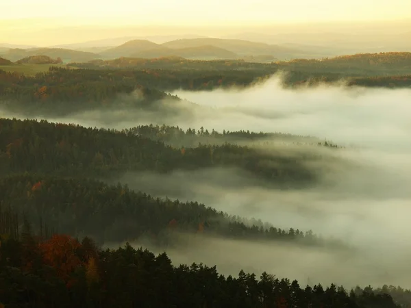 Kumtaşı yoğun sisli vadinin üstündeki Görünüm nokta. Sunrise güzel dağ çek-Saksonya İsviçre. — Stok fotoğraf