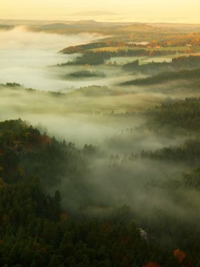 kumtaşı yoğun sisli vadinin üstündeki Görünüm nokta. Sunrise güzel dağ çek-Saksonya İsviçre.