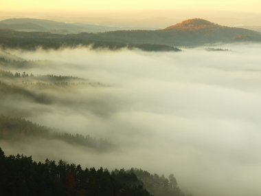 kumtaşı yoğun sisli vadinin üstündeki Görünüm nokta. Sunrise güzel dağ çek-Saksonya İsviçre.
