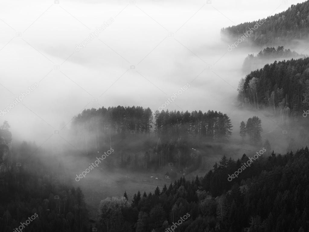 Fall misty valley early morning within sunrise. The fog is moving between hills and peaks of trees a makes with sun rays gentle reflections. Wonderful autumn morning in Bohemian Switzerland.