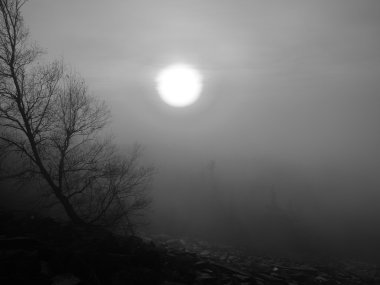 tepeler, sabah erken sonbahar sisli arka plandan arttı. siyah beyaz fotoğraf.