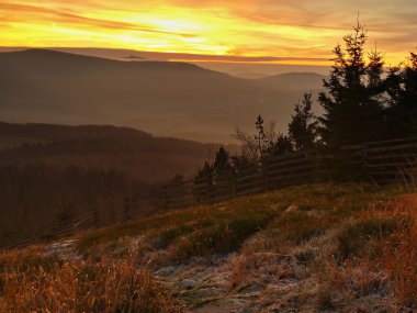 Forest Hill'de sabah erken sonbahar sisli arka plandan arttı.
