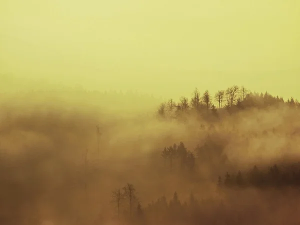 Alba autunnale in una bellissima montagna della Boemia. Cime di colline aumentate dalla nebbia . — Foto Stock