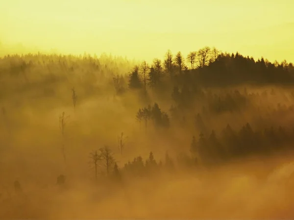 Autumn sunrise in a beautiful mountain of Bohemia. Peaks of hills increased from fog. — Stock Photo, Image