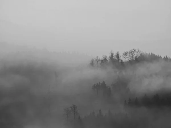 Herfst zonsopgang in een mooie berg van Bohemen. pieken van heuvels steeg van mist. — Stockfoto