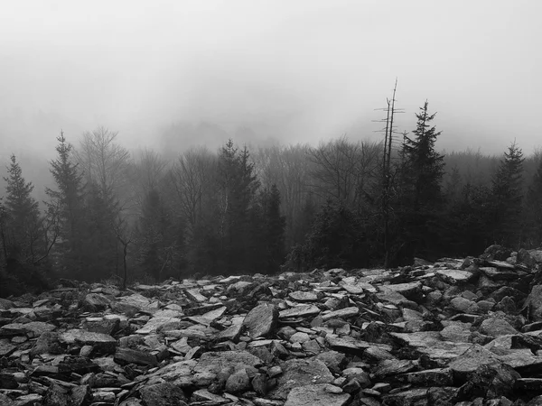 Die Hügel nahmen vom frühmorgendlichen herbstlichen Nebelhintergrund zu. Schwarz-Weiß-Foto. — Stockfoto
